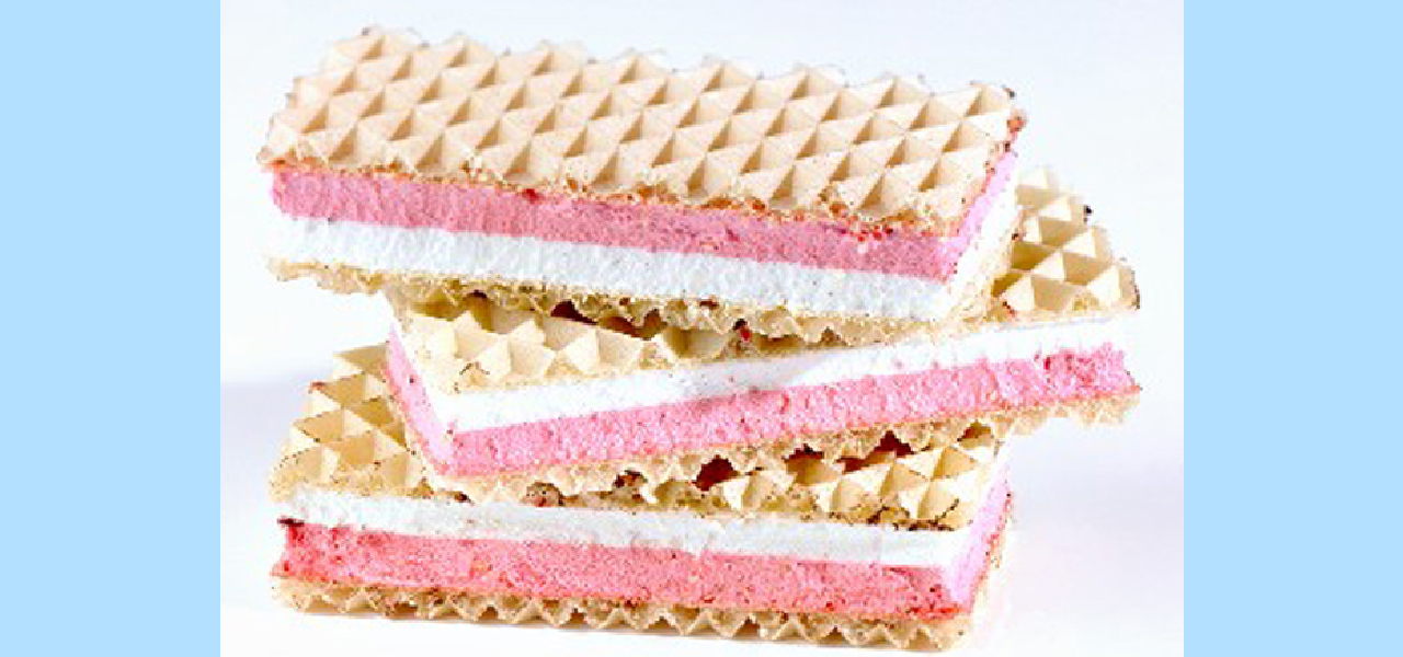 wafer